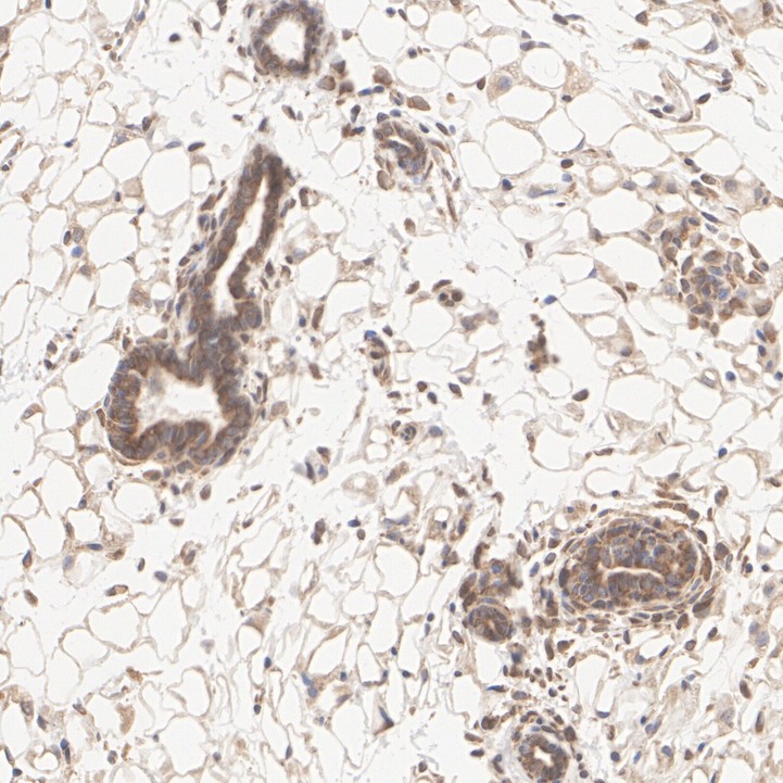 HA724101_6.jpg
