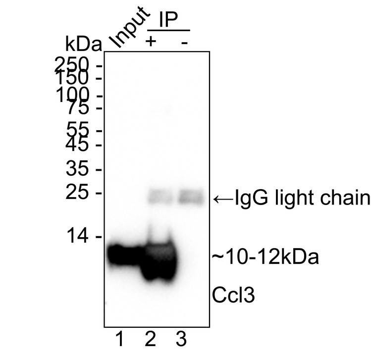 HA724103_6.jpg