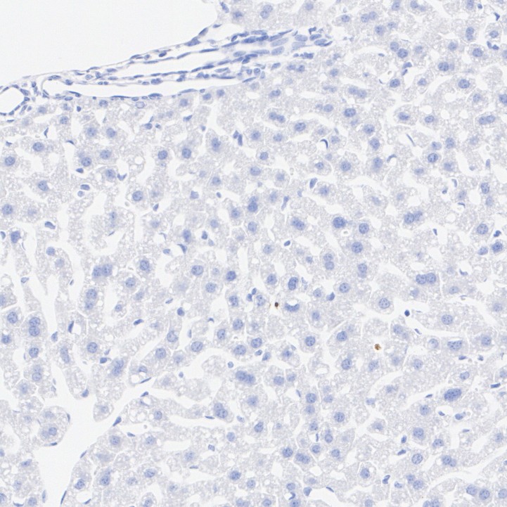 HA724104_4.jpg
