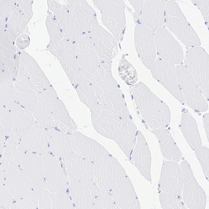 HA724114_3.jpg