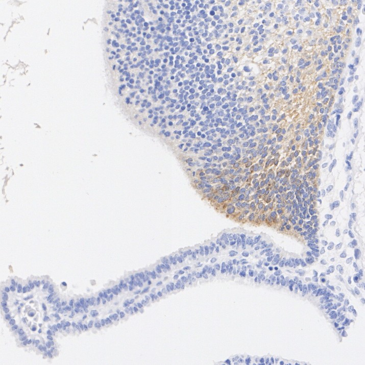 HA724116_2.jpg