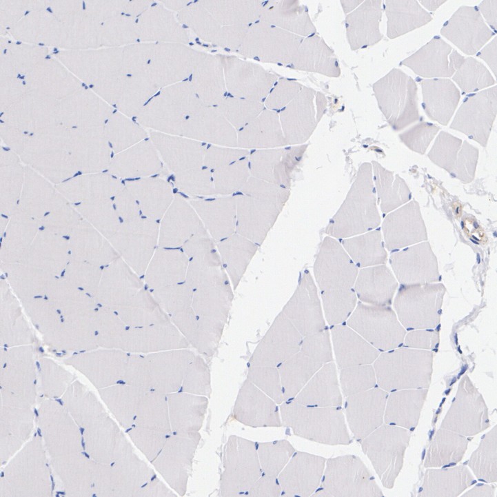 HA724118_10.jpg