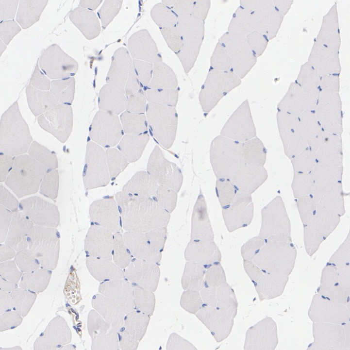 HA724118_7.jpg