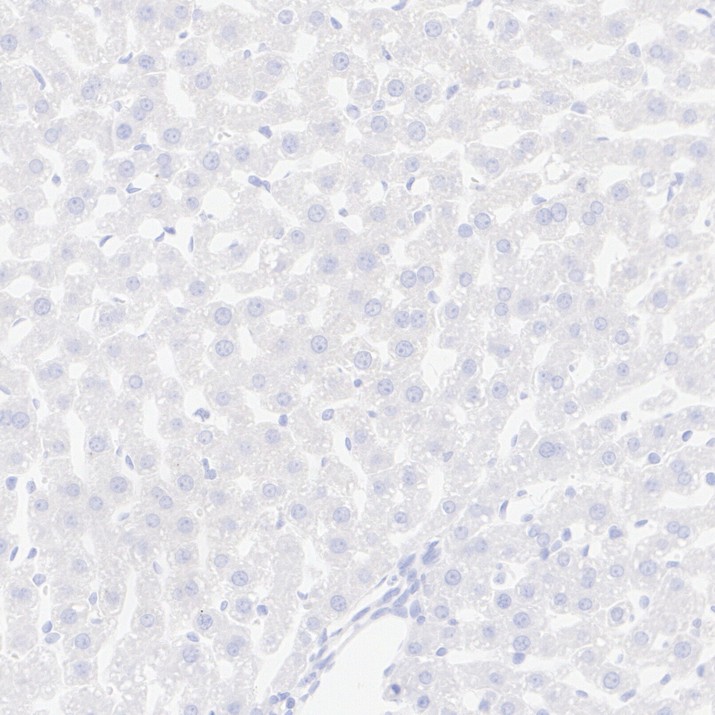 HA724119_6.jpg
