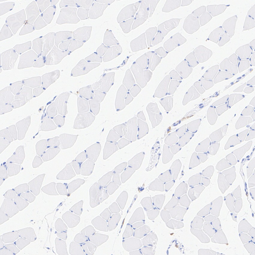 HA724120_6.jpg