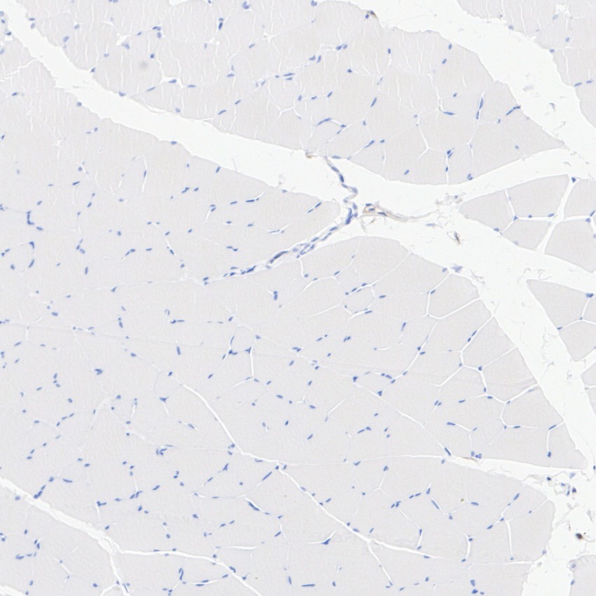 HA724120_9.jpg