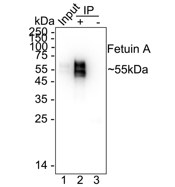 HA724121_4.jpg
