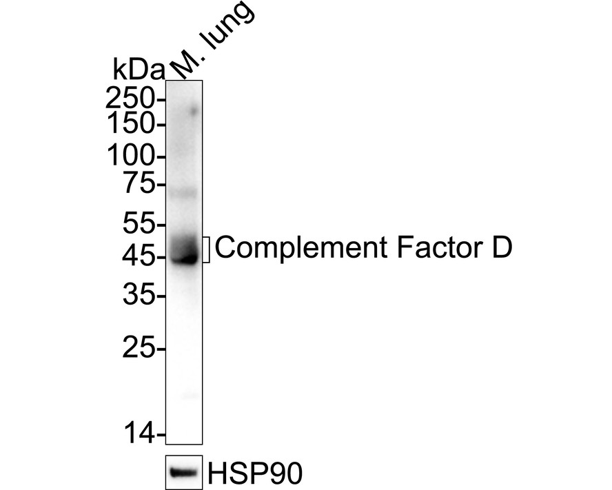 HA724123_2.jpg