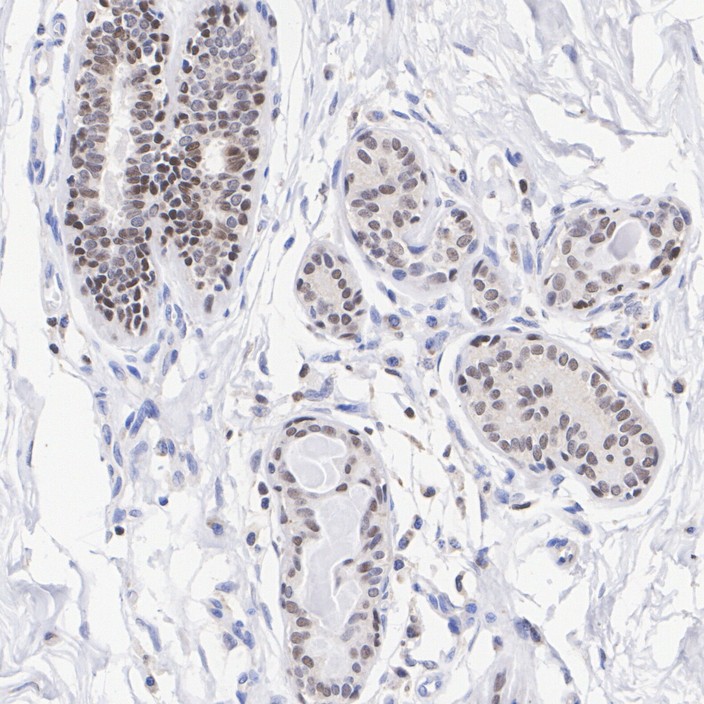 HA724141_1.jpg
