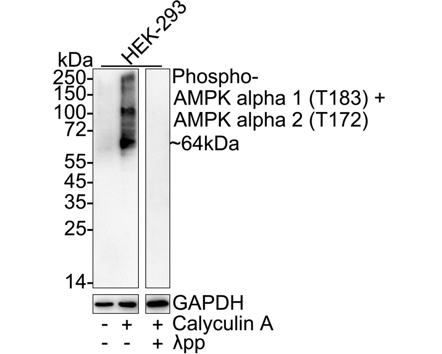 HA724142_1.jpg