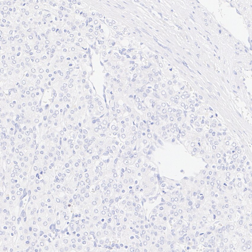 HA724145_4.jpg
