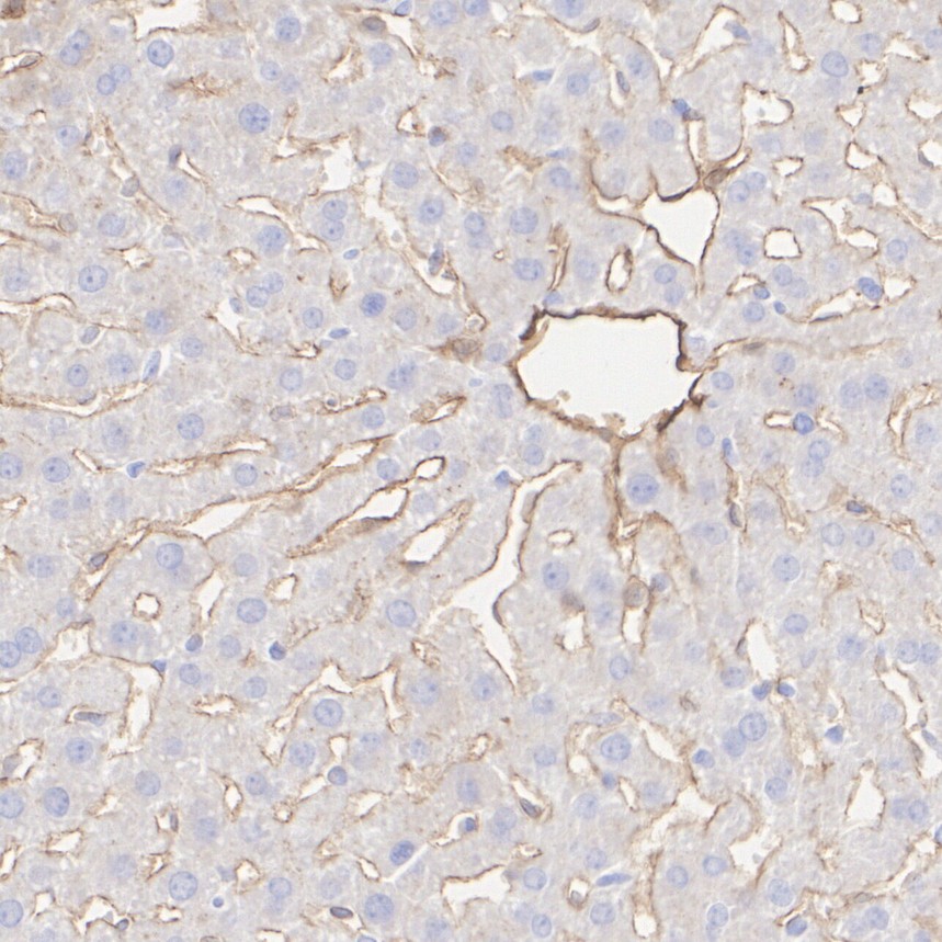 HA724146_6.jpg
