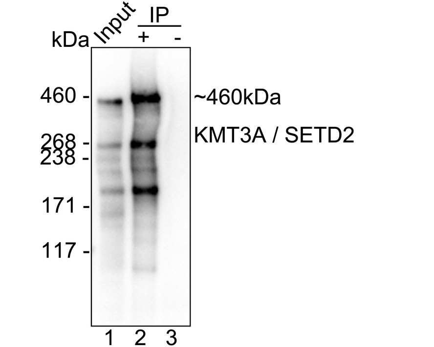 HA724147_10.jpg