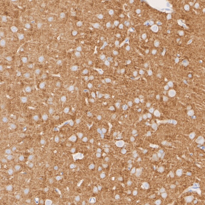HA724148_9.jpg