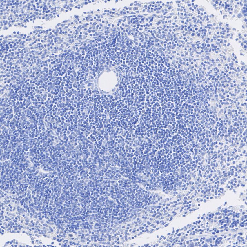 HA724149_5.jpg