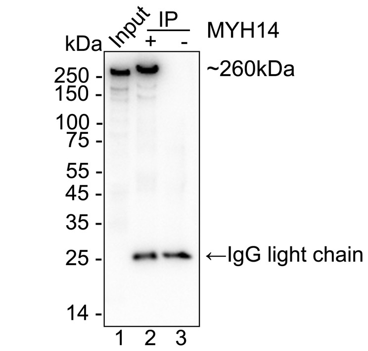 HA724152_9.jpg