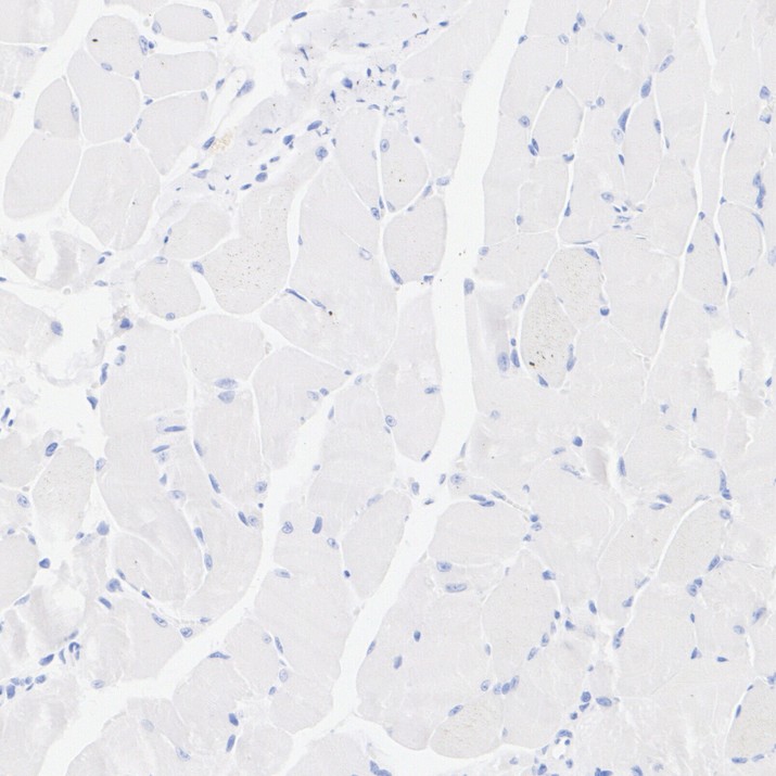 HA724153_4.jpg