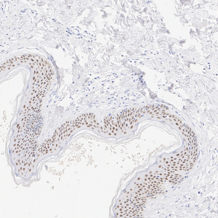 HA724156_3.jpg