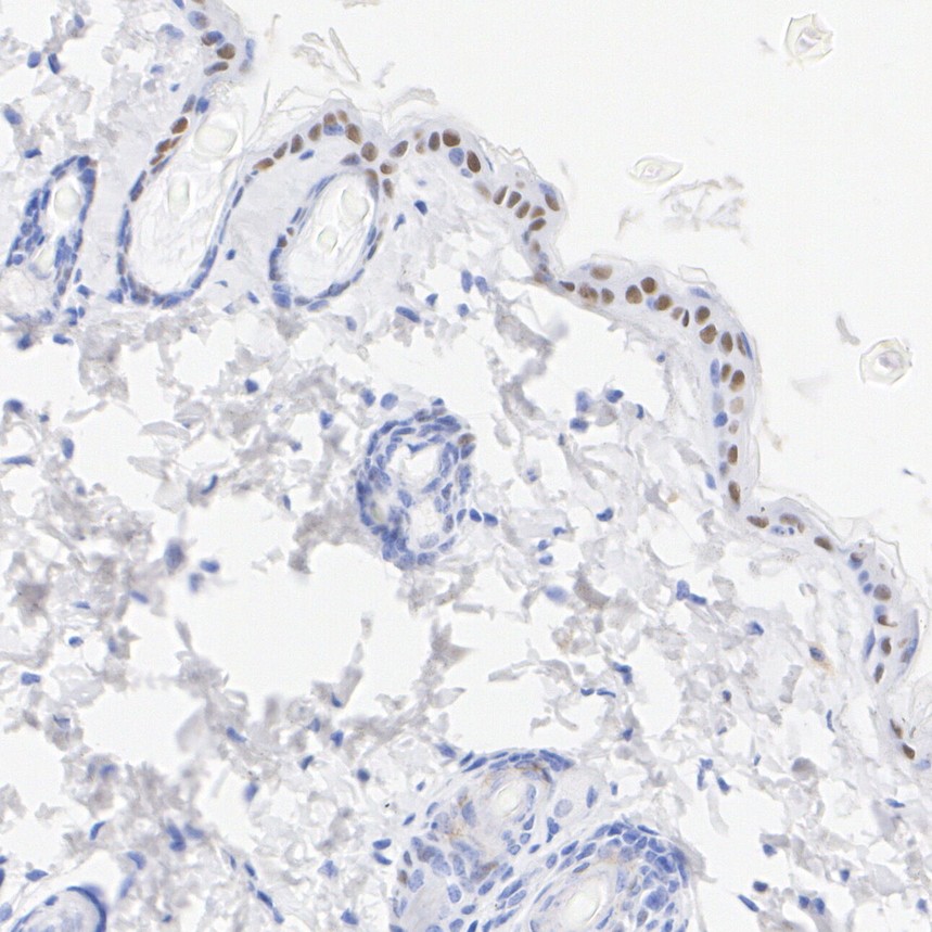 HA724156_6.jpg