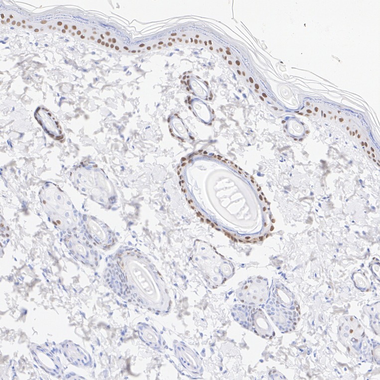 HA724156_9.jpg
