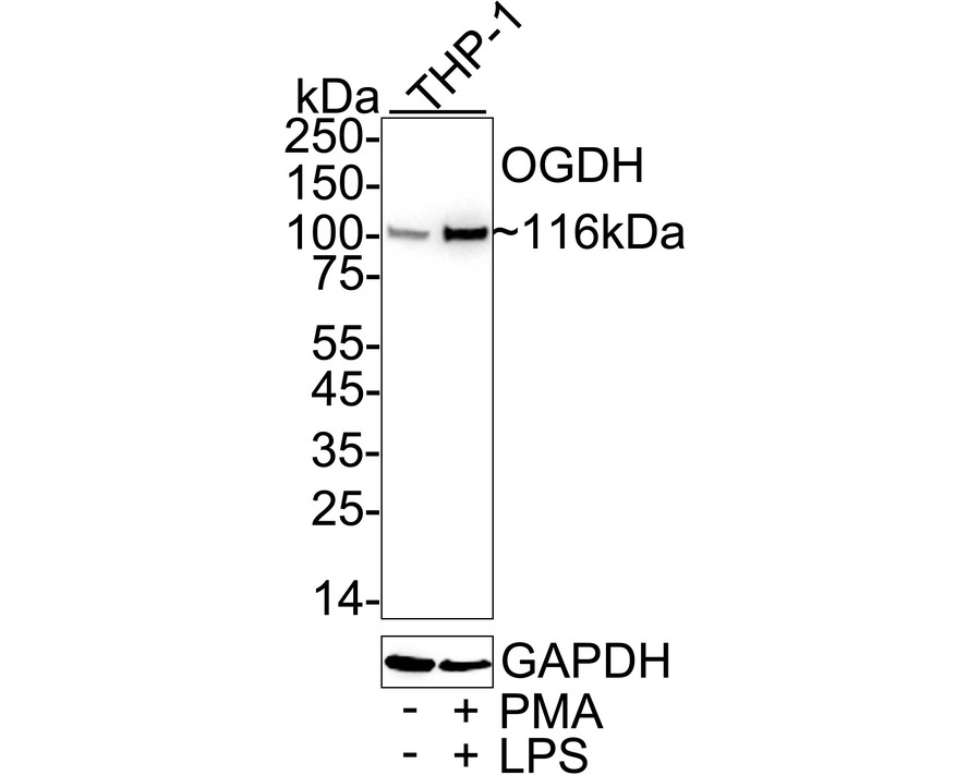 HA724163_2.jpg