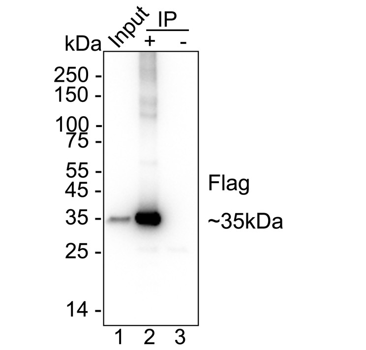 HA724169_5.jpg