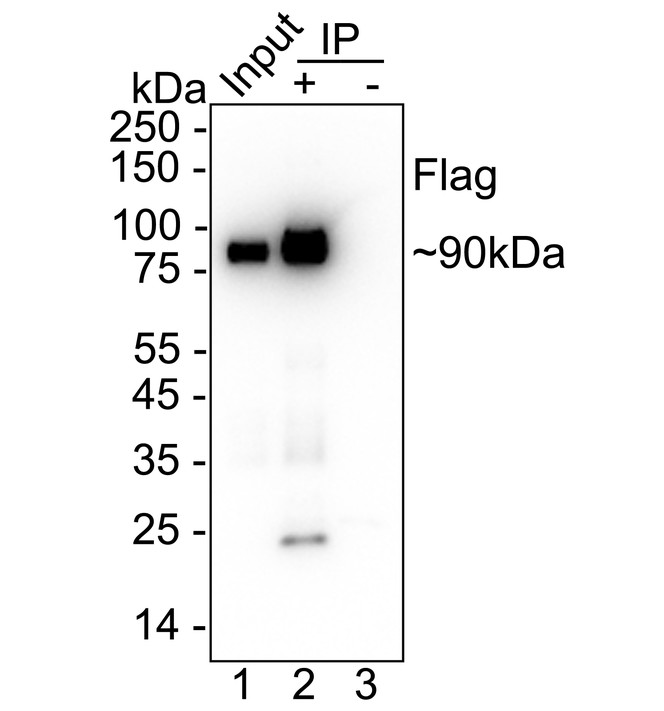 HA724169_6.jpg