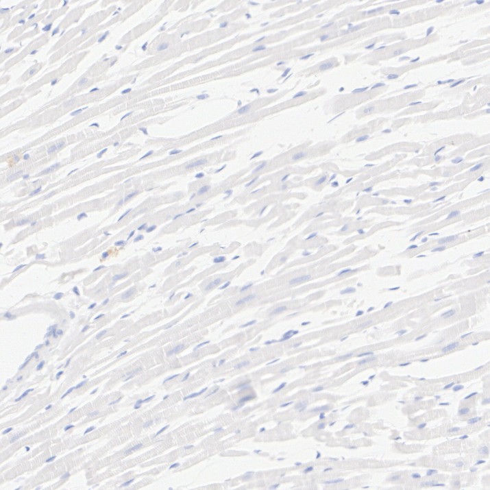 HA724170_5.jpg