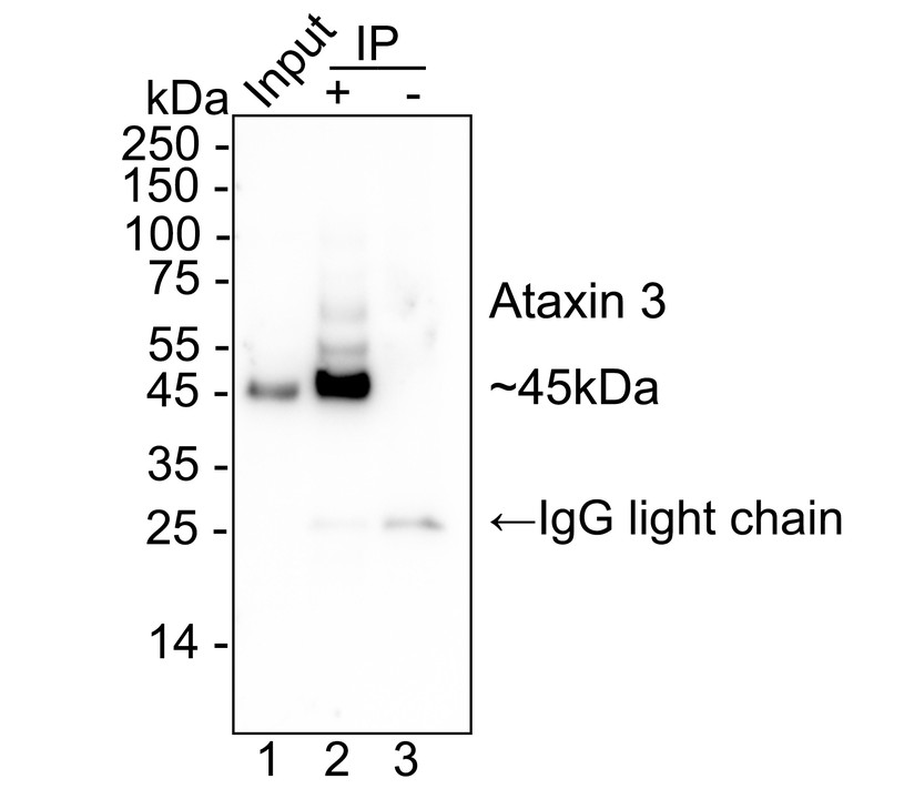 HA724171_4.jpg