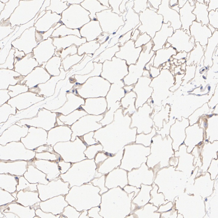 HA724173_5.jpg