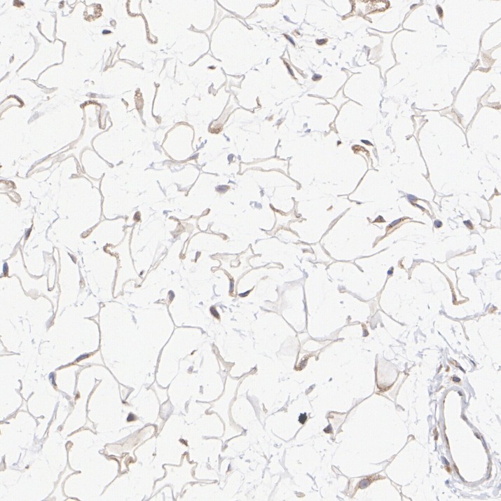 HA724173_7.jpg