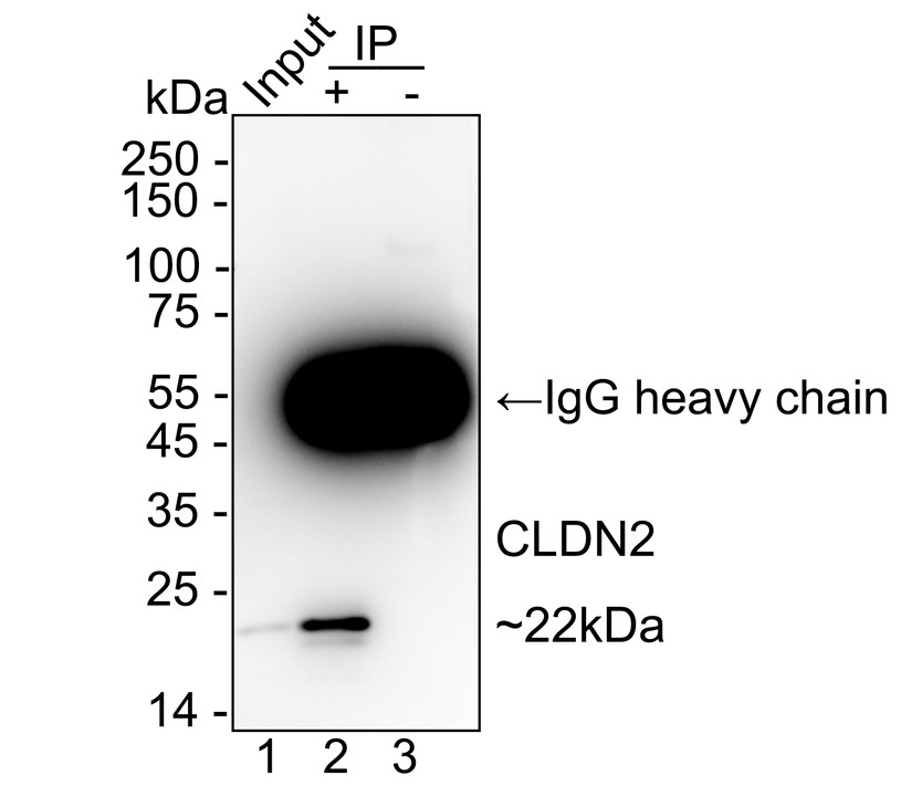 HA724187_2.jpg