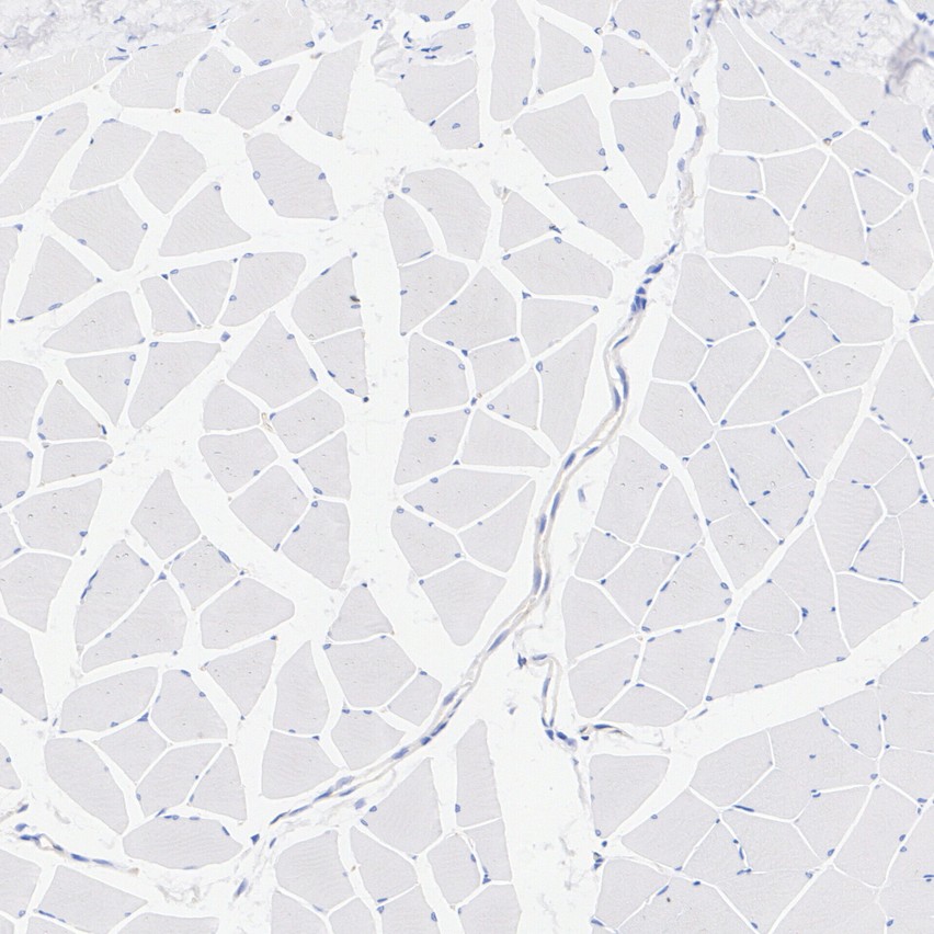 HA724189_10.jpg