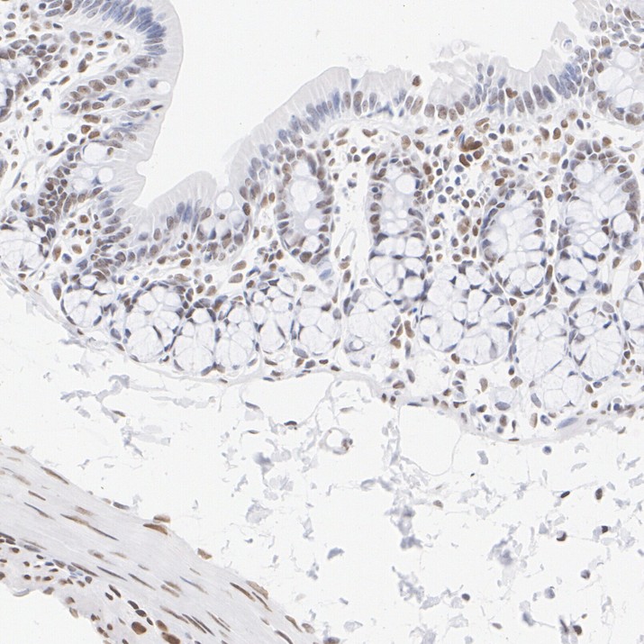 HA724190_10.jpg