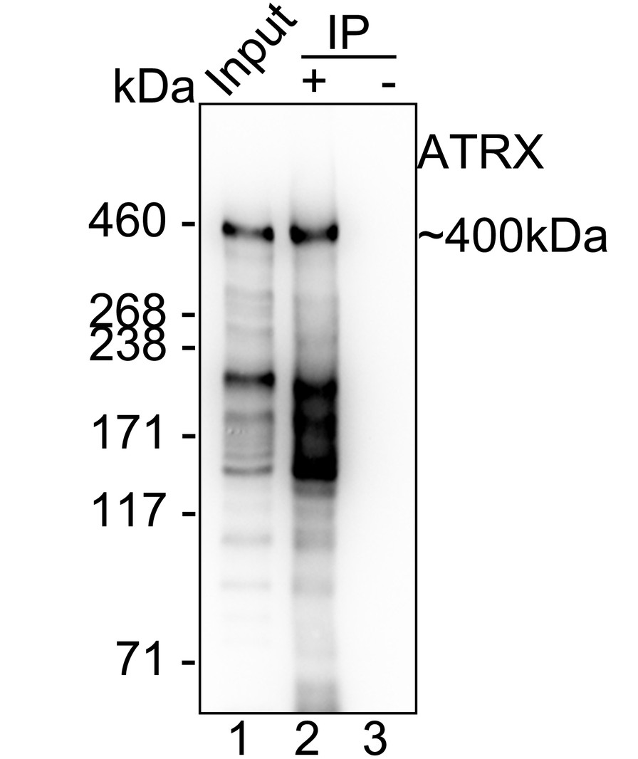 HA724190_11.jpg