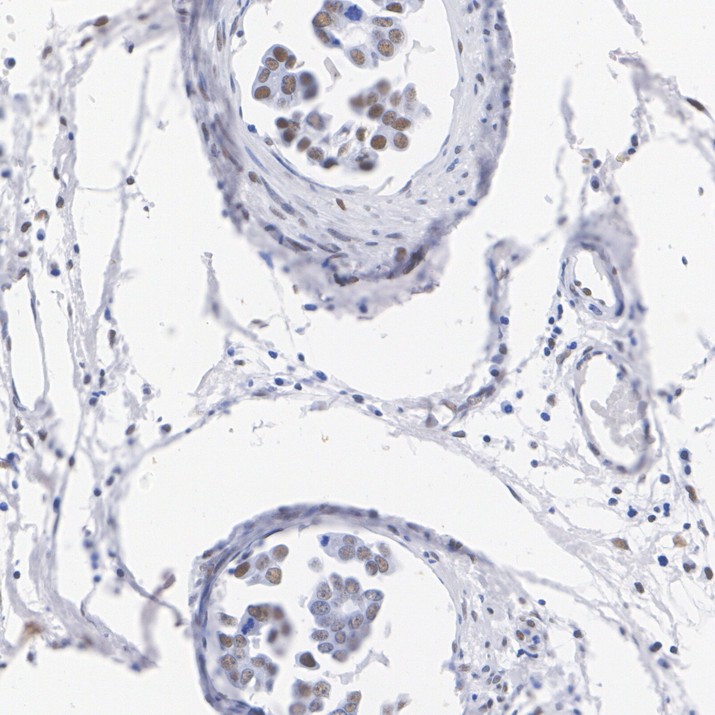 HA724190_5.jpg