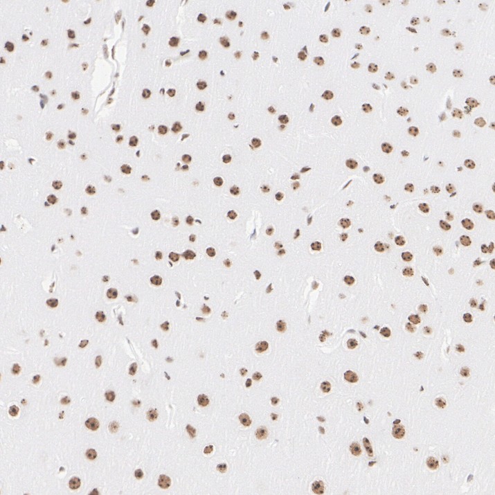 HA724190_7.jpg