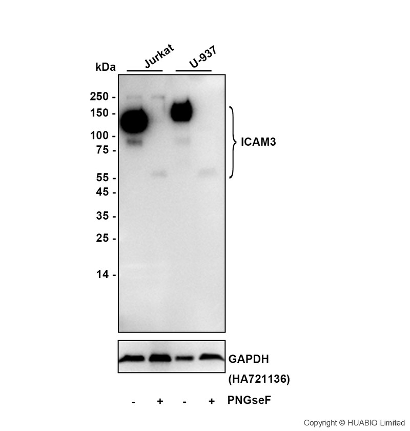 HA724192_2.jpg