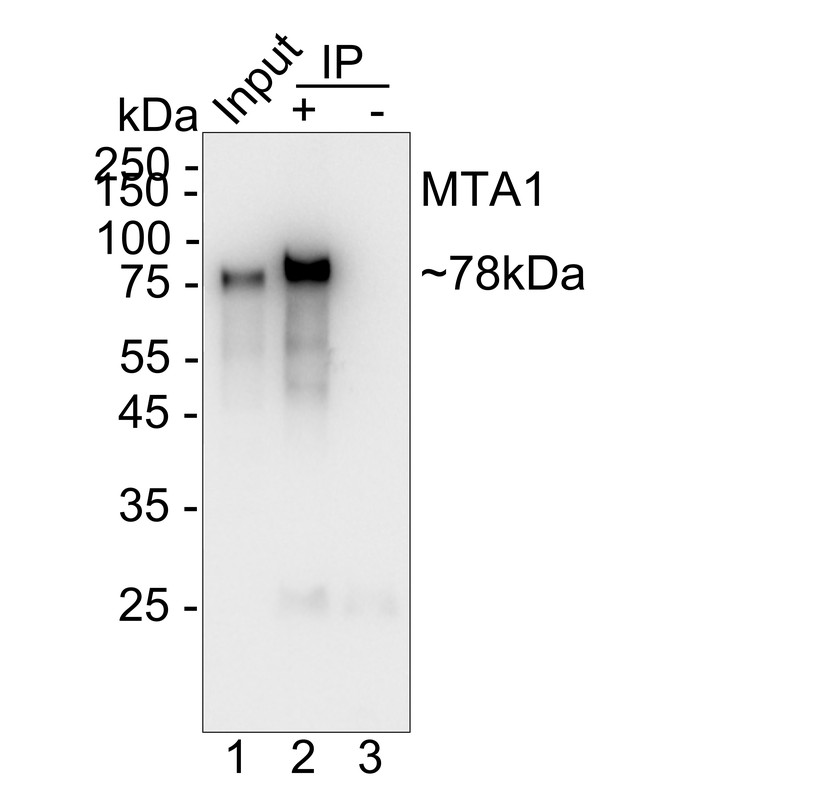 HA724208_16.jpg