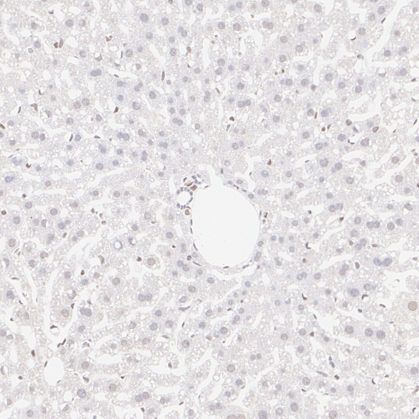 HA724208_8.jpg