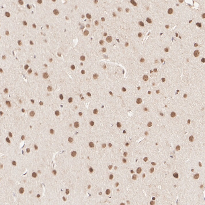 HA724208_9.jpg