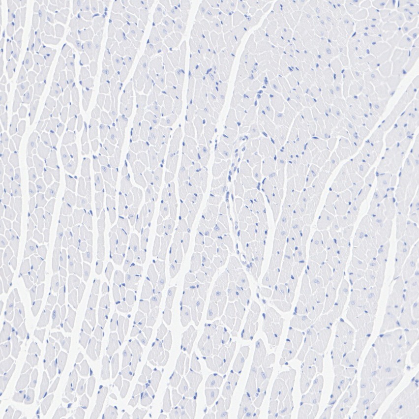 HA724215_5.jpg