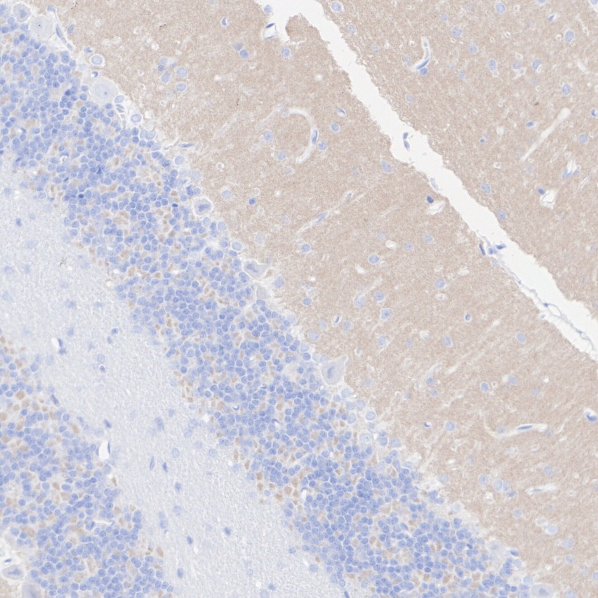 HA724215_6.jpg