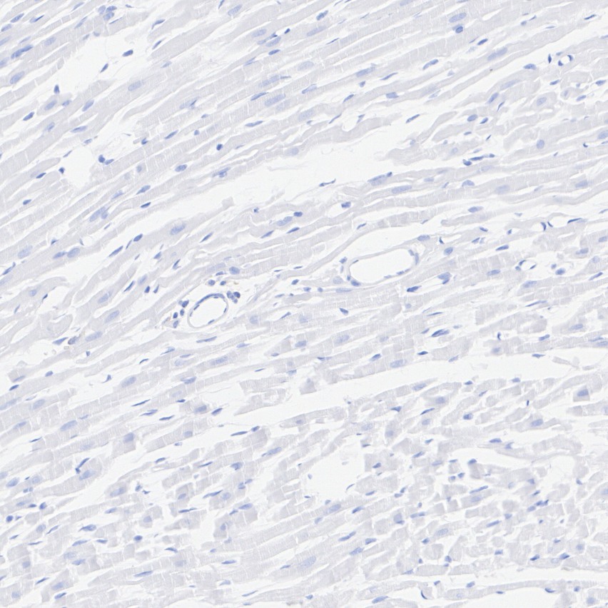 HA724215_7.jpg