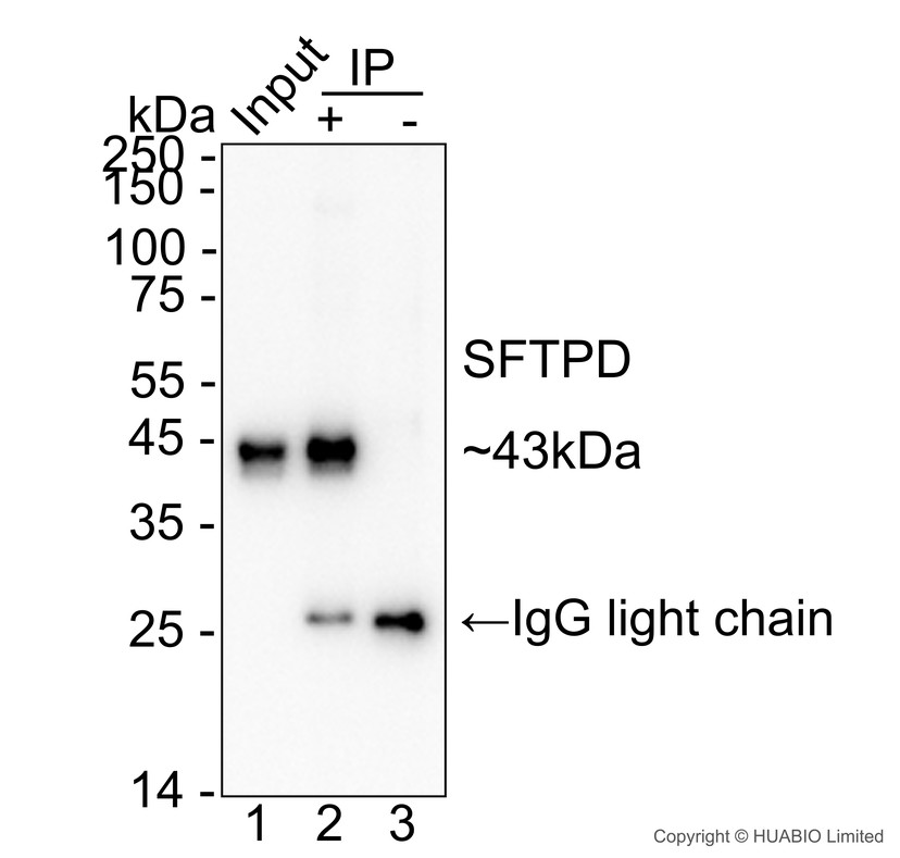 HA724229_8.jpg