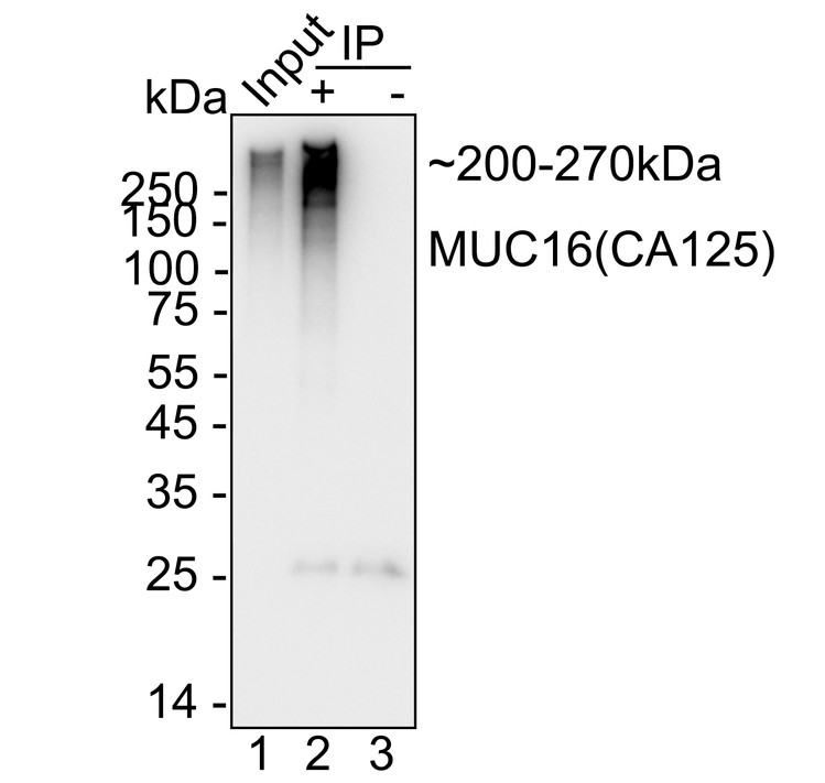 HA724248_9.jpg