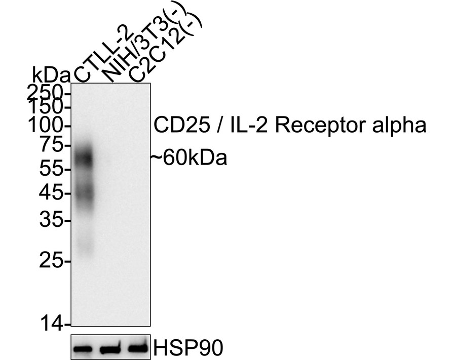 HA724250_1.jpg