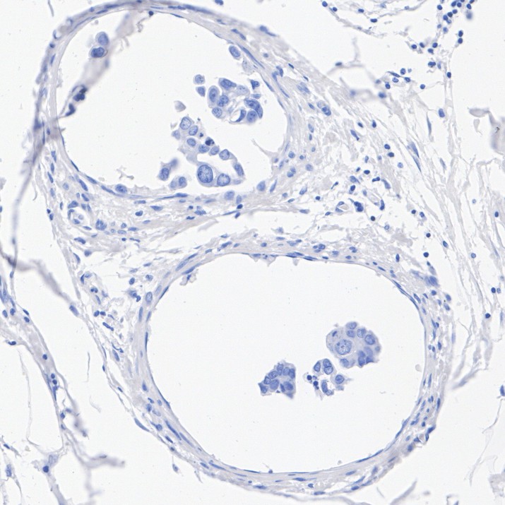 HA724255_4.jpg