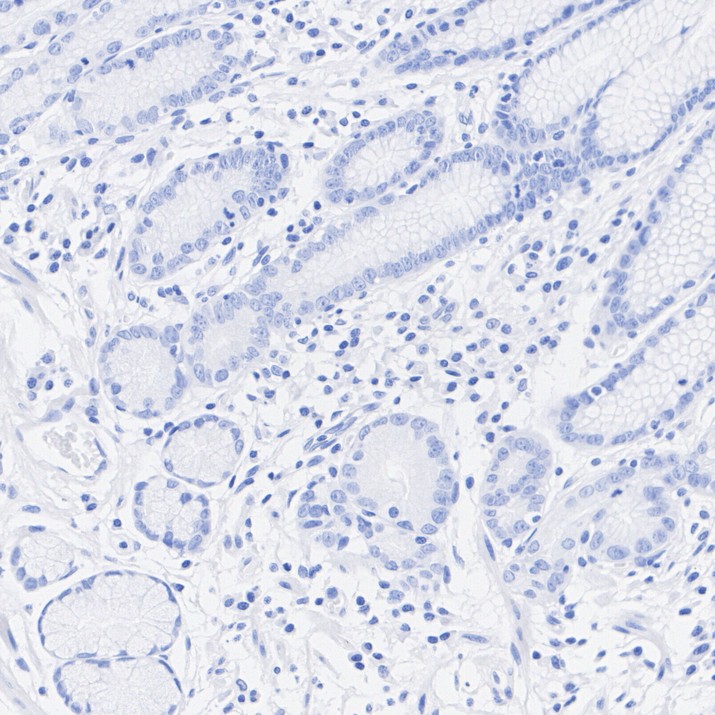 HA724255_5.jpg