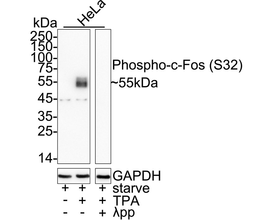 HA724268_1.jpg